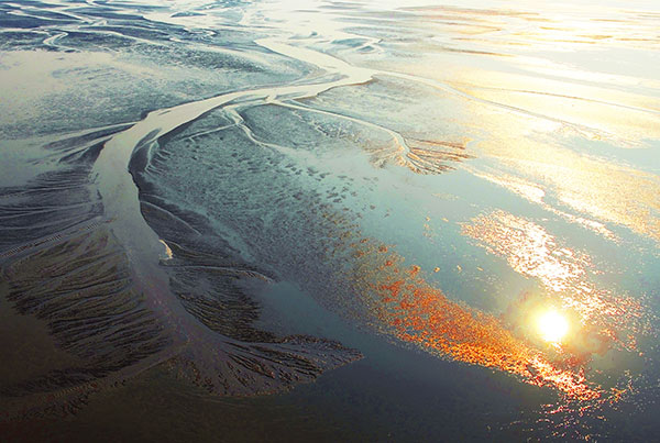 盐城黄海自然遗产地保护管理及可持续 发展三年行动纲要（2019-2021）