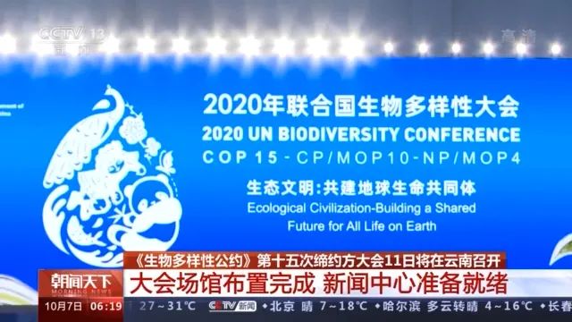 聚焦COP15！目前大会场馆布置完成，将打造低碳高效会议