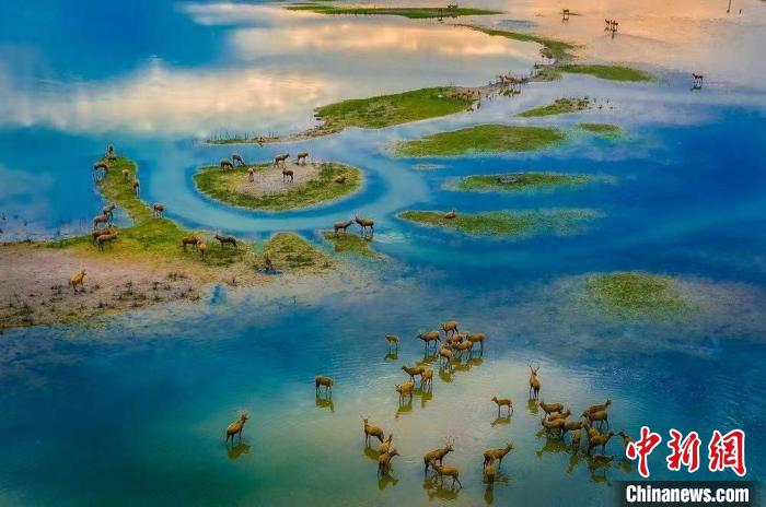 全球滨海论坛：在江苏盐城，中国和世界共议湿地与远方