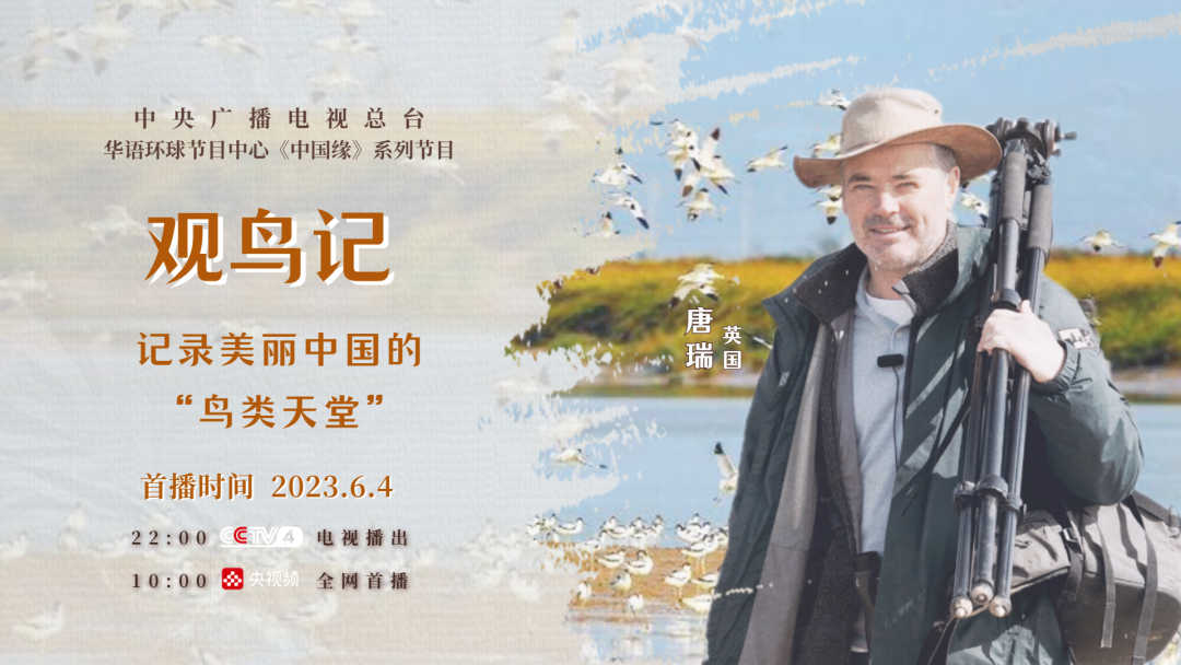 即将首播！和CCTV4一起，走进美丽中国的“鸟类天堂”