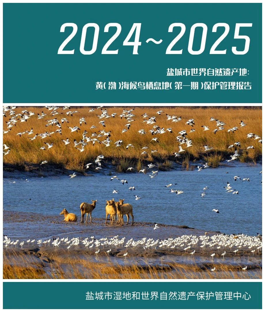 黄（渤）海候鸟栖息地（       期）2024~2025年度保护管理报告